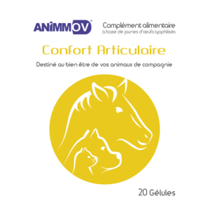 ANIMMOV Articulaire