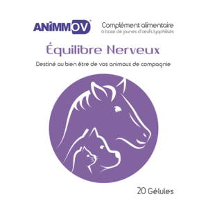 ANIMMOV Equilibre Nerveux
